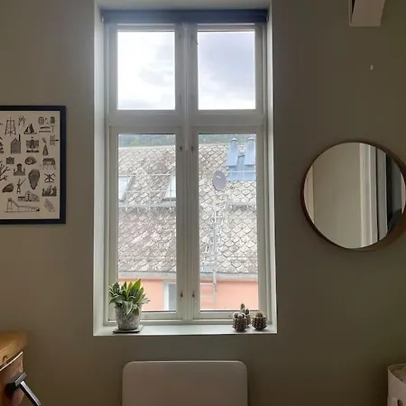Dinbnb I 500 M To Centrum I Shared Patio I Street Parking *