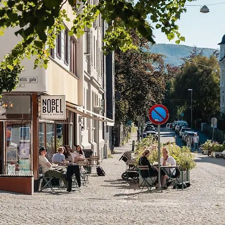Dinbnb I 500 M To Centrum I Shared Patio I Street Parking Apartament Bergen